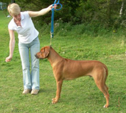 kaskazini ridgebacks