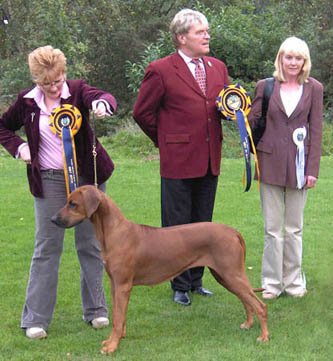 kaskazini ridgebacks